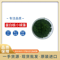 小球藻粉99% 破壁小球藻粉  绿藻粉 小球藻提取物