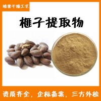 榧子提取物  三方检测报告 榧子粉 规格10:1