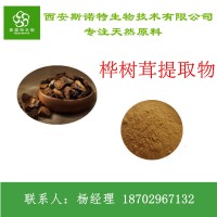 桦树茸多糖 桦树茸提取物  桦树茸粉 厂家包邮