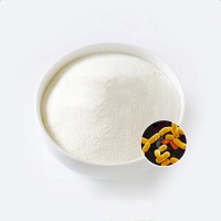 益生菌生产鼠李糖乳杆菌LR41功能型食品配料冻干粉可代工定制