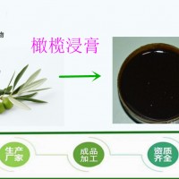 橄榄浸膏 青果提取物 速溶 可定制比重 厂家供应 包邮