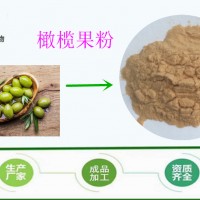 厂家 橄榄粉 青果粉 水溶性 99%纯果粉 现货包邮