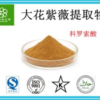 大花紫薇提取物 科罗索酸10% 巴拿巴提取物 1公斤包邮