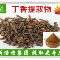 丁香提取物 精选公丁香提取 西北植提专家 品质稳定