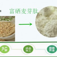 富硒麦芽低聚肽99% 麦芽肽 富硒 麦芽提取物