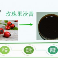 刺玫果浸膏 刺玫果提取液  可定制比重 厂家供应 包邮