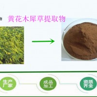 黄花草木犀提取物 30:1 浓缩粉  木犀草粉包邮