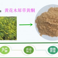 黄花草木犀草多糖30% 浓缩粉  1kg起订 包邮