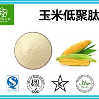 玉米低聚肽粉 玉米肽精细粉 工厂供应