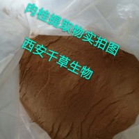 肉桂皮提取物 厂家供应植物浓缩水溶粉 定做牡桂浓缩浸膏