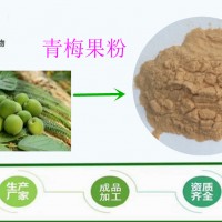 青梅粉 乌梅粉99% 全水溶 斯诺特厂家 包邮