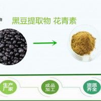 黑豆皮花青素25% 黑豆皮提取物  发货快