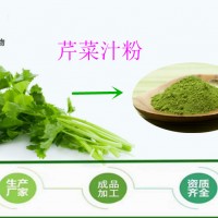厂家供应 纯芹菜粉 99.9% 蔬菜粉 100目 脱水蔬菜粉