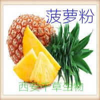 菠萝粉 天然植物提取 生产植物提取物 流浸膏 颗粒