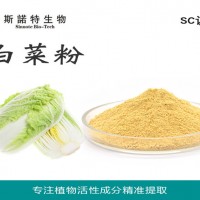 白菜粉 速溶白菜粉 大白菜粉厂家