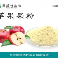 苹果果粉 苹果粉 苹果果汁粉厂家
