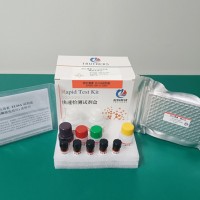 呕吐毒素ELISA定量检测试剂盒