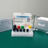 伏马毒素ELISA定量检测试剂盒