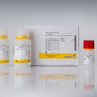 酶法检测柠檬酸（即用型液体剂型柠檬酸试剂盒）