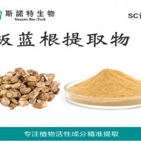板蓝根提取物 板蓝根多糖 板蓝根提取厂家严控品质