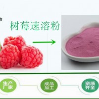 覆盆子果粉 速溶 树莓提取物 批发零售 1kg起订 斯诺特
