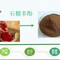 石榴提取物 石榴多酚40% 源头厂家 欢迎参观