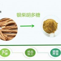 斯诺特 银柴胡多糖 银柴胡粉  可定制规格  厂家批发现货