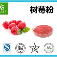 树莓粉 红树莓粉 覆盆子粉 全水溶水果粉