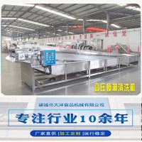 大型高压喷淋清洗机 304不锈钢生姜清洗机 洗菜机