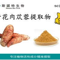管花肉苁蓉提取物 全水溶肉苁蓉粉 多肽规格