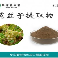菟丝子提取物 菟丝子多肽 水溶菟丝子粉