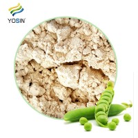 豌豆蛋白 蛋白质粉 80％ 植物蛋白 批发  优承生物