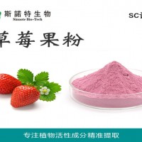 草莓粉 草莓浓缩粉 草莓果粉