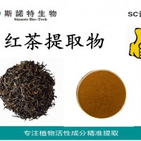 红茶提取物 SC源头工厂现货批发 水溶性红茶粉