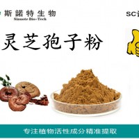 灵芝孢子粉 破壁灵芝孢子粉 破壁灵芝孢子粉