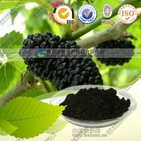 桑椹提取物