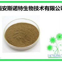 马黛茶提取物 马黛茶粉 20:1 包邮