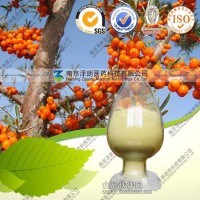 沙棘提取物应用，沙棘提取物QS证生产厂家