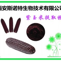 紫玉米粉 紫玉米萃取粉 五谷杂粮粉 生产厂家