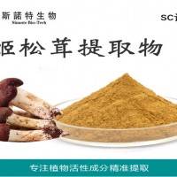 姬松茸多糖30% 厂家现货 姬松茸提取物
