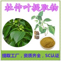 杜仲提取物 杜仲绿原酸10% 健康养殖