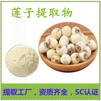 莲子提取物 药食两用 莲子粉