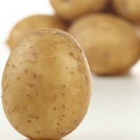 马铃薯检测微生物,马铃薯营养成分检测报告