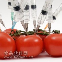 转基因番茄检测,转基因西红柿检测