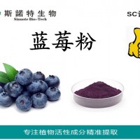 蓝莓浓缩粉 蓝莓果浓缩粉 蓝莓果粉
