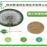 蒲公英提取物 高倍浓缩浸膏粉 药食同源 现货批发