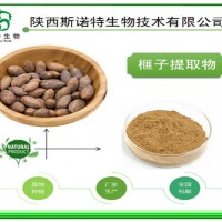 榧子提取物 10:1浓缩榧子粉 选好原料 就选斯诺特集团