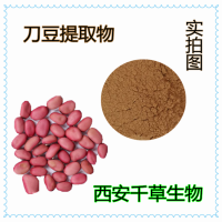 刀鞘豆提取物 药食同源 供应植物提取物定做刀坝豆浓缩粉