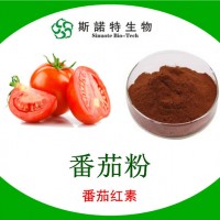 番茄粉 番茄原粉 番茄浓缩粉