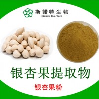 银杏果提取物 银杏果粉 速溶粉厂家